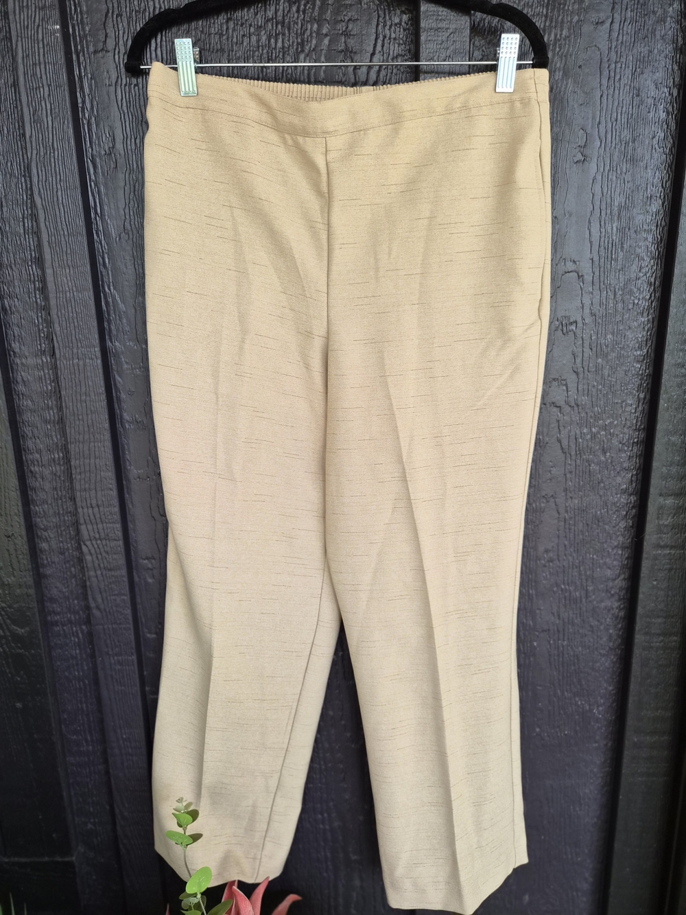 Classic Women's Beige Pull-On Dress Pants Alfred Dunner